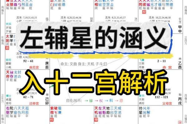 紫薇斗数旬空夫妻宫