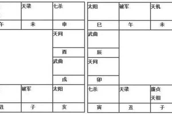 紫薇斗数太阴的排法