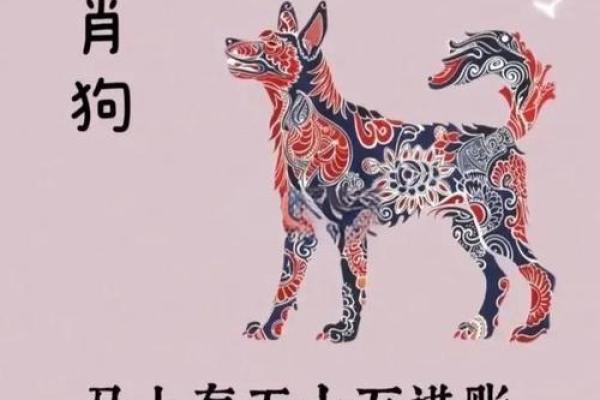 算命属狗岁女儿 算命属狗岁女儿