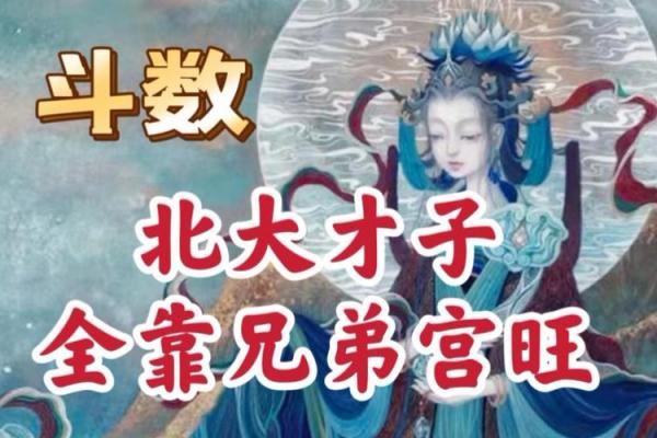 紫薇斗数看才子