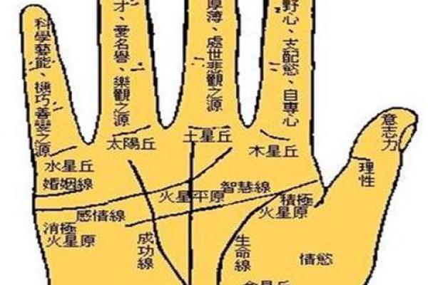 图解：手相纵欲线算命