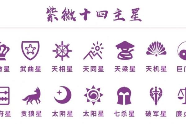 紫薇星盘星曜解析详解图 紫薇星盘星曜解析详解图