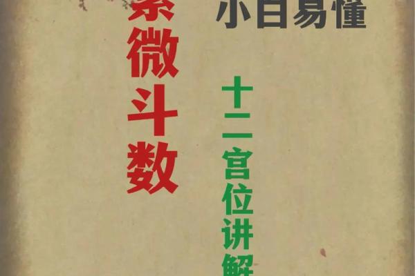 紫薇斗数举门宫 紫薇斗数举门宫