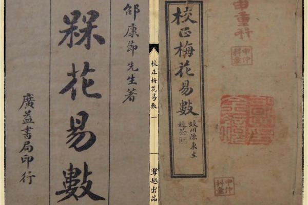 梅花易数算命入门书籍 梅花易数算命入门书籍