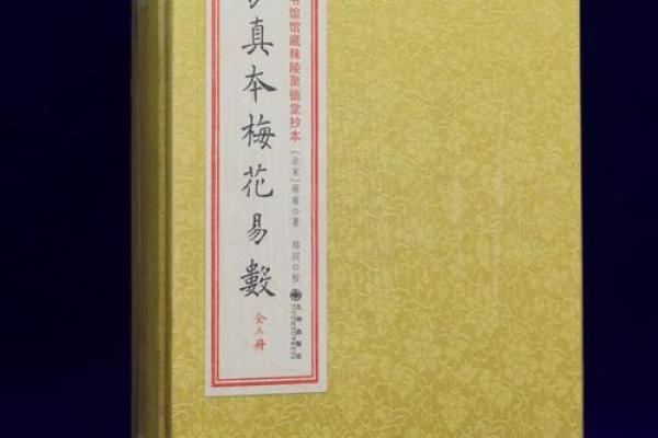 梅花易数算命入门书籍 梅花易数算命入门书籍