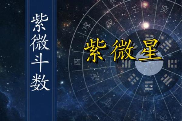 紫薇斗数空劫星