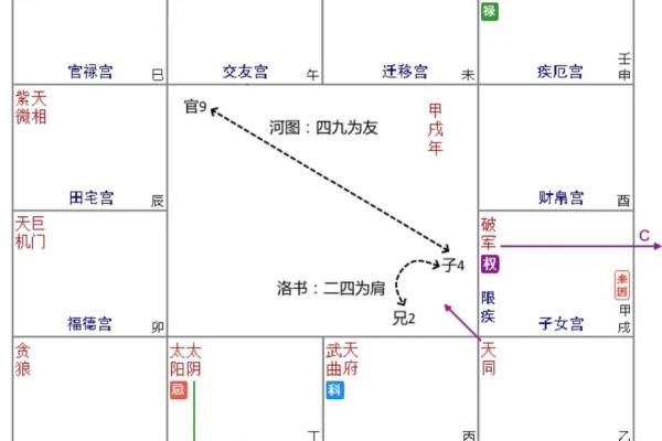 紫薇斗数没有入格局