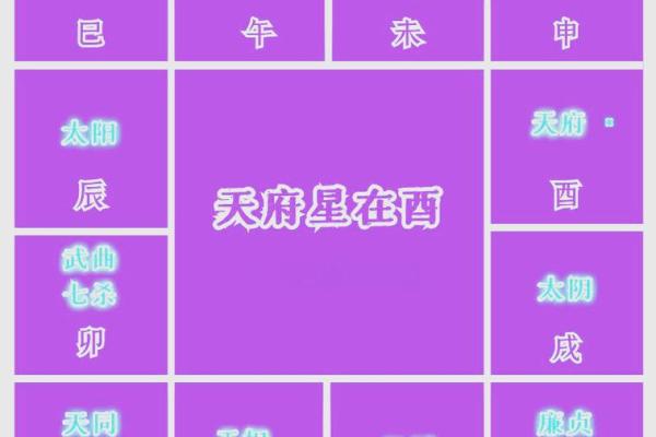 紫薇斗数命宫酉宫