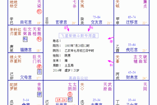 孤儿的紫薇斗数