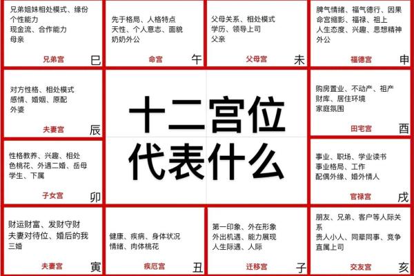 紫薇斗数财帛宫有什么用