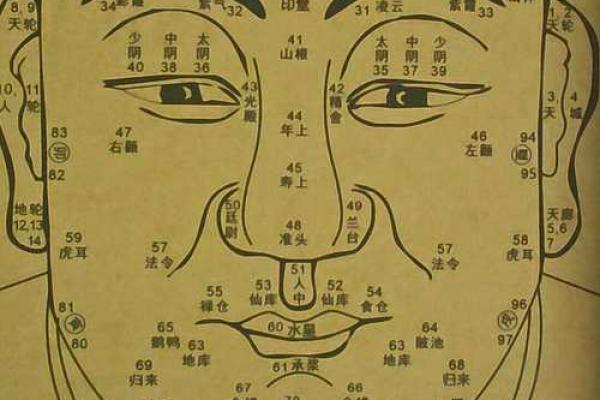 连心眉面相算命图解