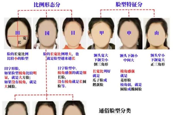 连心眉面相算命图解