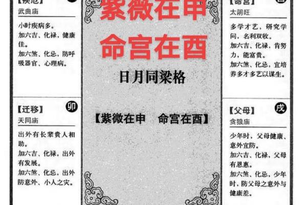 命宫化忌适合创业吗？ #紫微斗数基础入门知识
