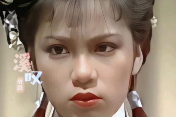 翁美玲紫薇斗数