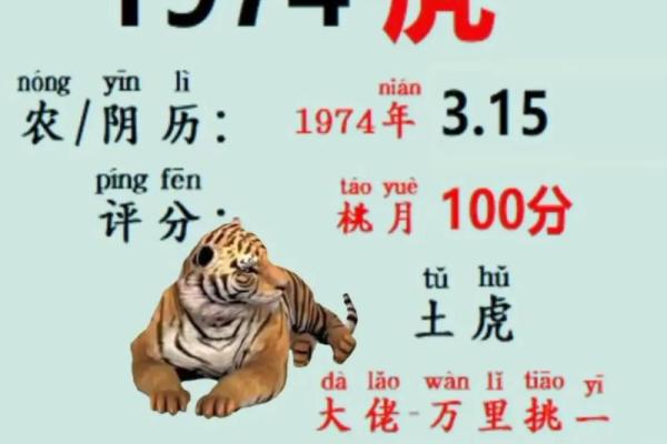 台湾算命网,台湾版八字算命