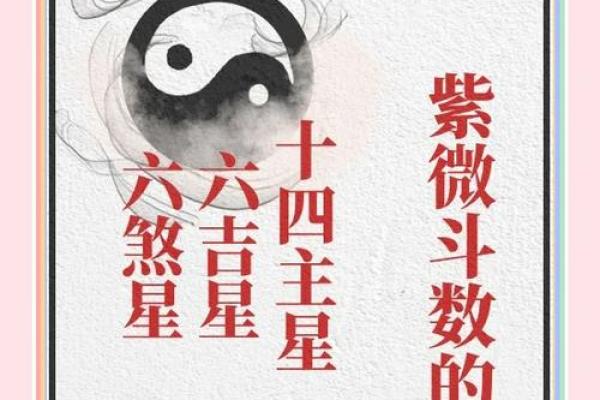 大耗星紫薇斗数