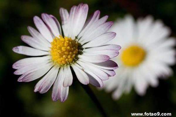 梦见好多尸骨佛滔算命 梦见好多尸骨佛滔算命