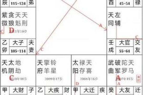 紫薇斗数兄弟破军 紫薇斗数兄弟破军