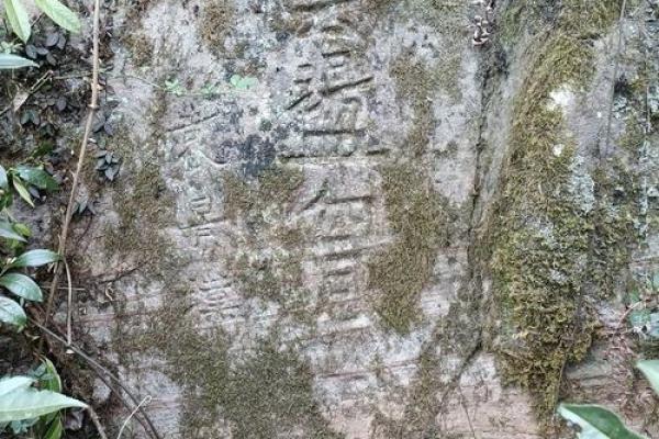 广东这边有算命的吗知乎 广东这边有算命的吗知乎