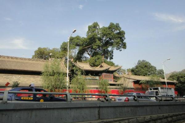 兰州哪里算命准