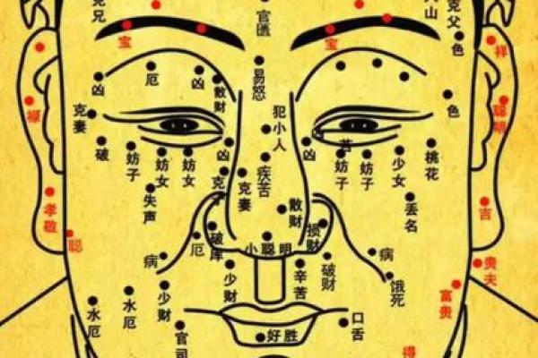 耳朵算命耳朵看运势大全,耳朵命运图解