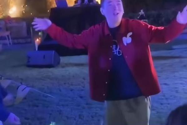 王思聪紫薇斗数