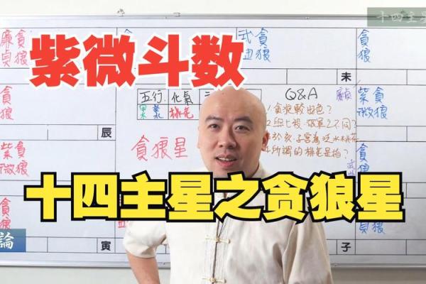 紫微斗数-贪狼星 紫微斗数-贪狼星