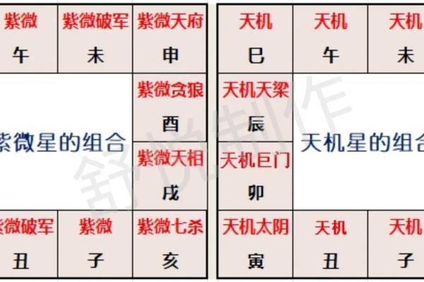 紫薇斗数主星组合 紫薇斗数主星组合