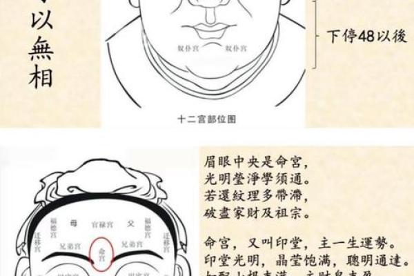 六害眉面相算命图解