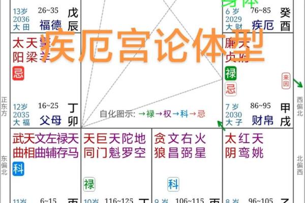 紫微斗数之疾厄宫在戌宫，是什么意思？