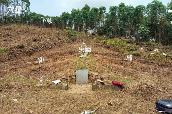 怎么查看我国名人祖坟风水大全 怎么查看我国名人祖坟风水大全