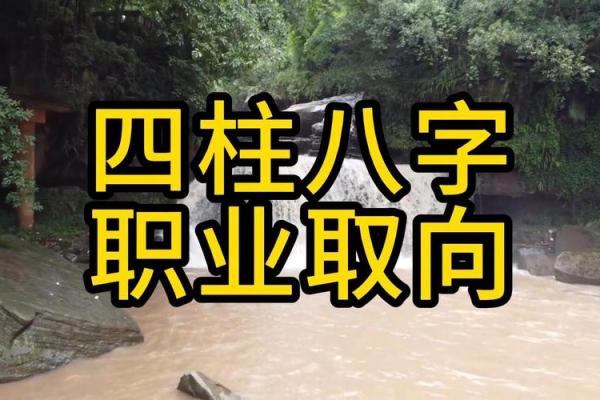 八字如何指导职业选择