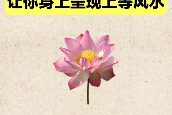 提升爱情运的风水，提升异性缘